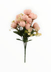 Rosa-2