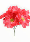 Rosa-2