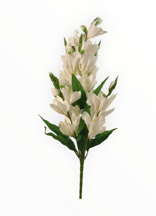 Vara Orquídea