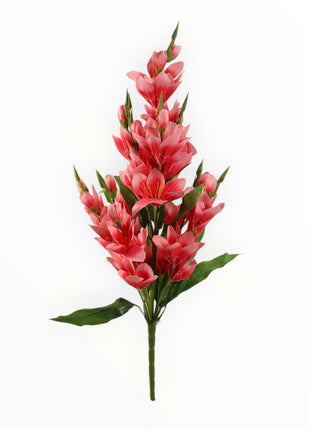Vara Orquídea