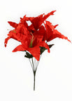 Rojo Quemado