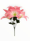 Rosa/Blanco