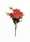 Rojo Quemado