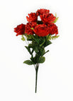 Rojo/Negro