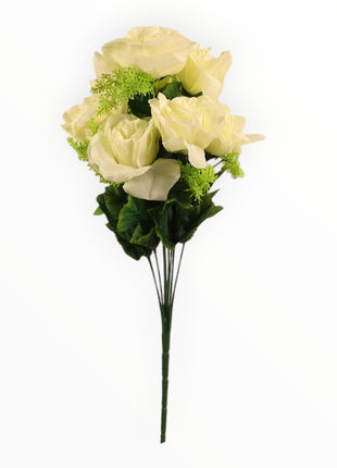 Rosa Italiana Satín x9
