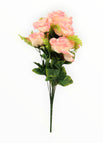 Crema/Rosa
