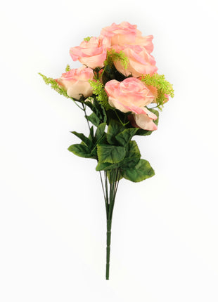 Rosa Italiana Satín x9