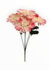 Crema/Rosa