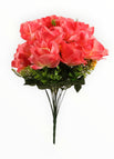 Crema/Rosa