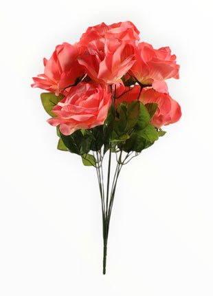 Rosa Abierta Jumbo x9
