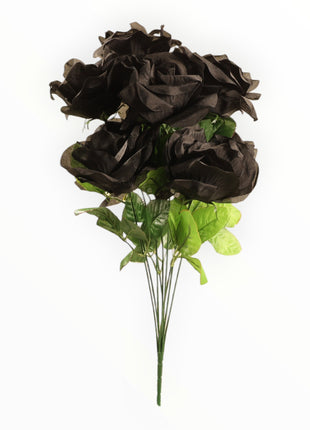 Rosa Abierta Jumbo x9