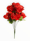 Rojo/Negro