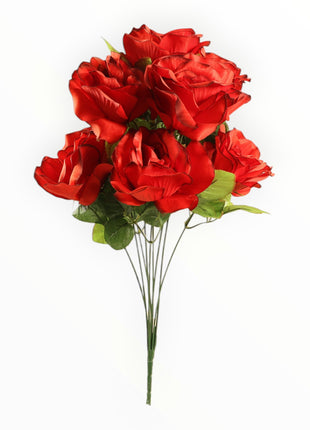 Rosa Abierta Jumbo x9