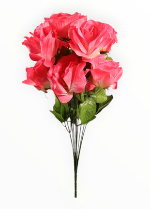 Rosa Abierta Jumbo x9
