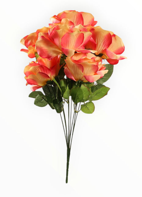 Rosa Abierta Jumbo x9