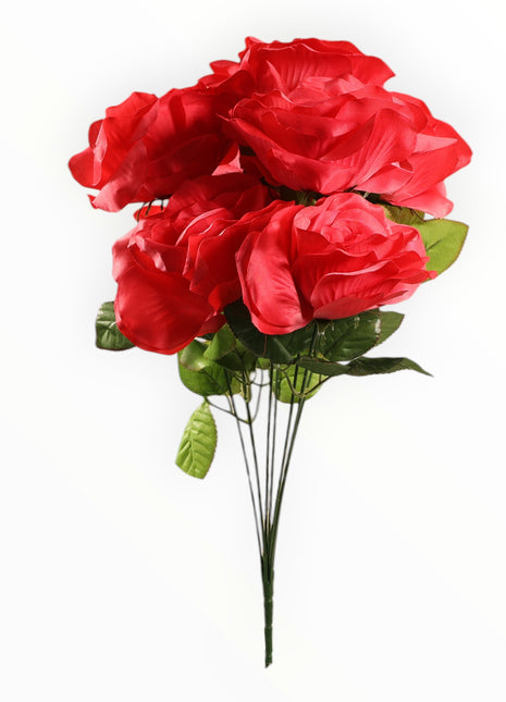 Rosa Abierta Jumbo x9
