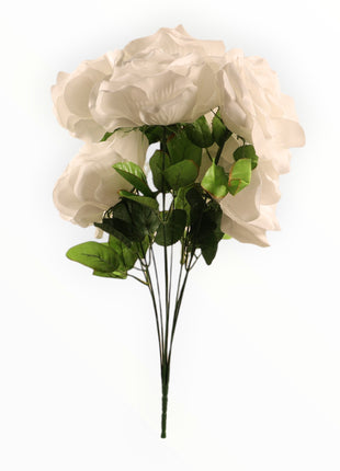 Rosa Abierta Jumbo x9
