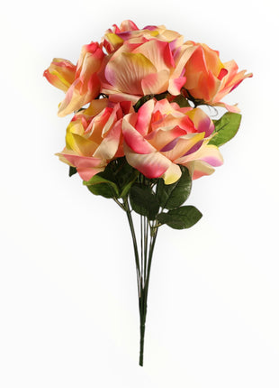 Rosa Abierta Jumbo x9