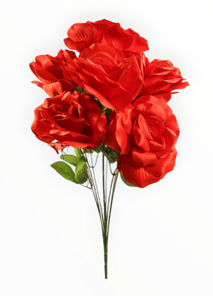 Rosa Abierta Jumbo x9