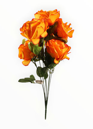 Rosa Abierta Jumbo x9