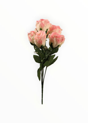 Rosa Capullo Petalo de Col con Gipso X6