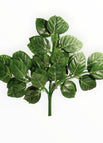 Verde 2