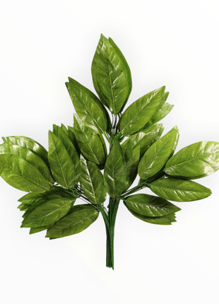 Ramo de Hoja x3