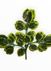 Verde 3