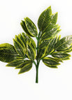 Verde 7