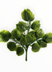 Verde 9