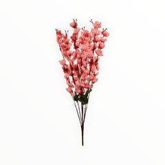 Collection image for: Duraznos