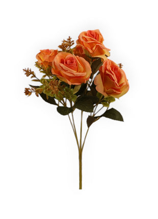 Rosa CH x5 Follaje Suculenta