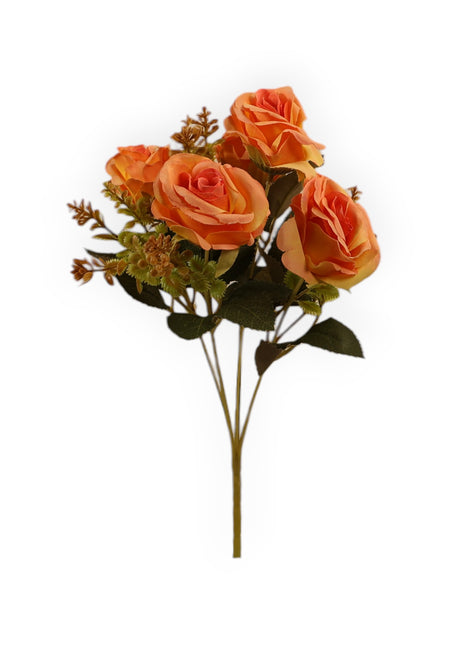 Rosa CH x5 Follaje Suculenta
