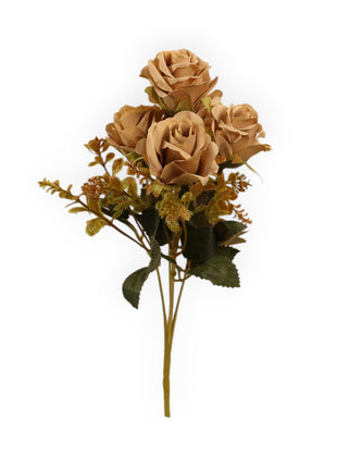 Rosa CH x5 Follaje Suculenta