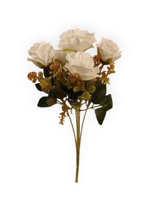 Rosa CH x5 Follaje Suculenta
