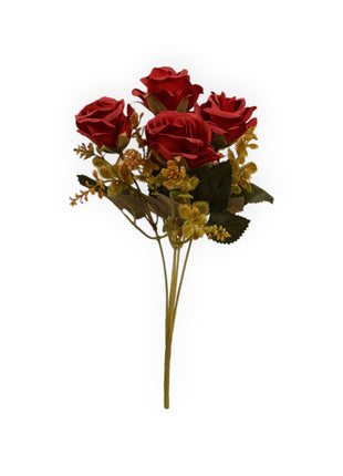 Rosa CH x5 Follaje Suculenta
