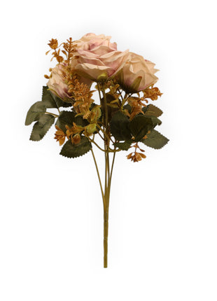 Rosa CH x5 Follaje Suculenta