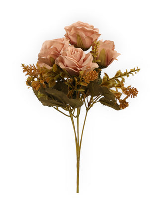 Rosa CH x5 Follaje Suculenta