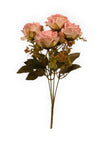 Rosa-2