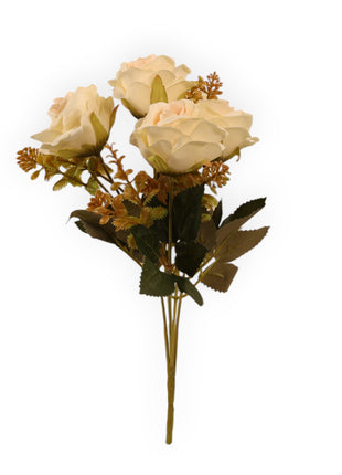 Rosa CH x5 Follaje Suculenta
