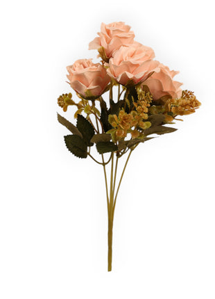 Rosa CH x5 Follaje Suculenta