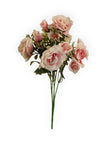 Rosa/Blanco