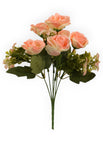 Crema/Rosa