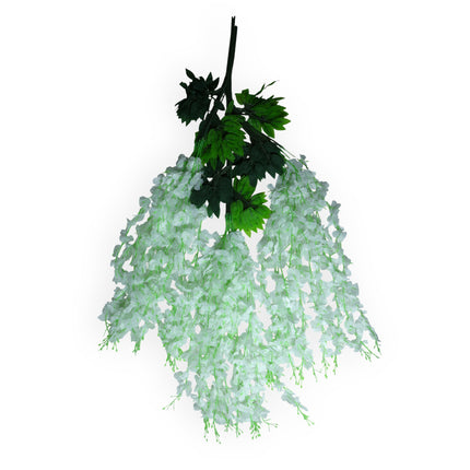 Wisteria 3 ramas x12