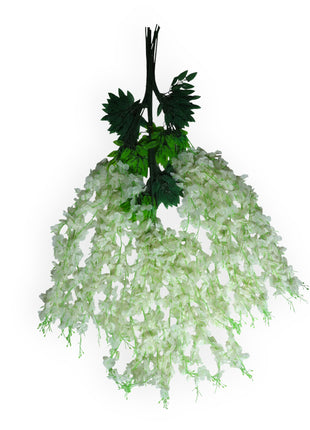 Wisteria 3 ramas x12