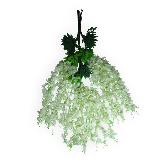 Wisteria 3 ramas x12