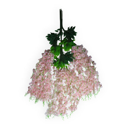 Wisteria 3 ramas x12