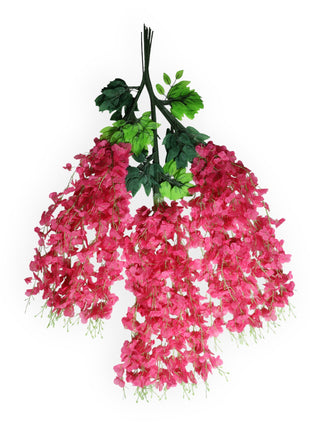 Wisteria 3 ramas x12