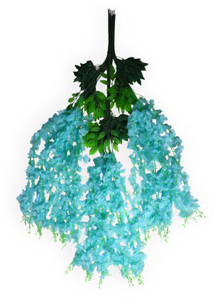 Wisteria 3 ramas x12