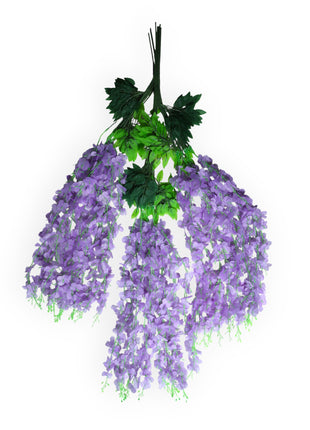 Wisteria 3 ramas x12